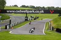 Lower Group White Bikes